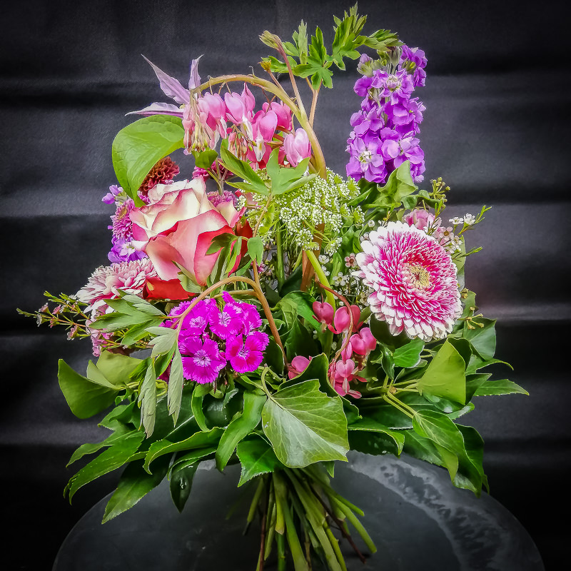 Der Liebliche (rosa-pink-lila)